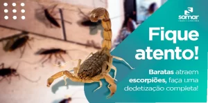 Escorpião e baratas em ambiente doméstico, ilustrando a necessidade de desinsetização