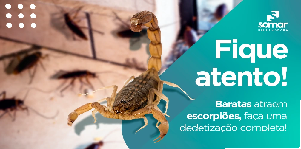 Escorpião e baratas em ambiente doméstico, ilustrando a necessidade de desinsetização